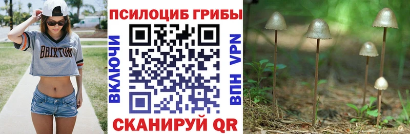 купить наркоту  даркнет официальный сайт  Галлюциногенные грибы Psilocybine cubensis  Азнакаево 